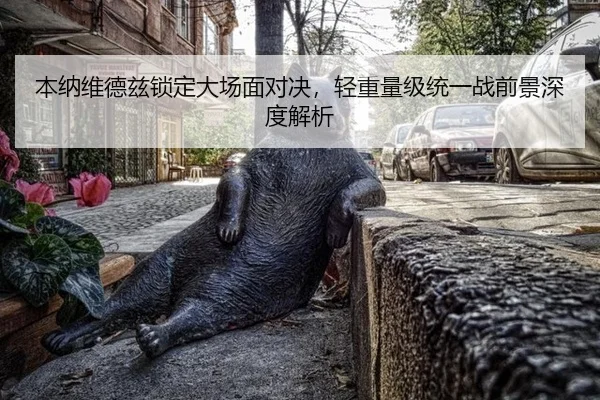 本纳维德兹锁定大场面对决，轻重量级统一战前景深度解析 - okooo